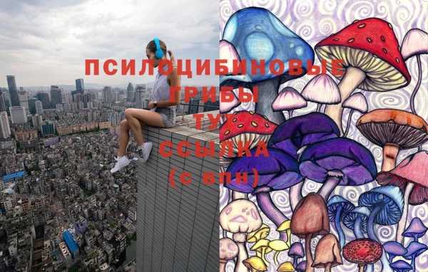 амф Беломорск