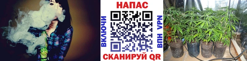 Марихуана THC 21%  Новомичуринск 
